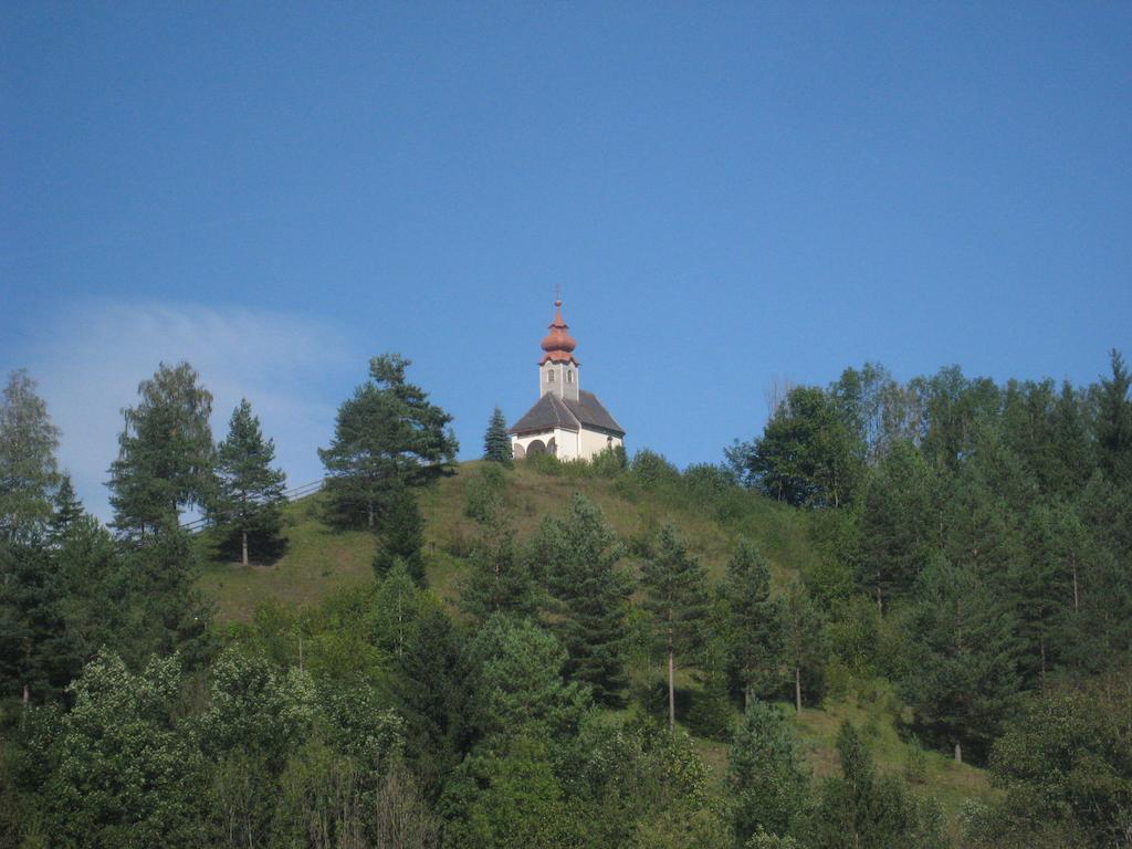 Gasthof Zum Niederhaus - Familie Perthold Sankt Aegyd am Neuwalde エクステリア 写真