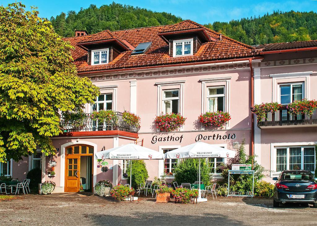 Gasthof Zum Niederhaus - Familie Perthold Sankt Aegyd am Neuwalde エクステリア 写真