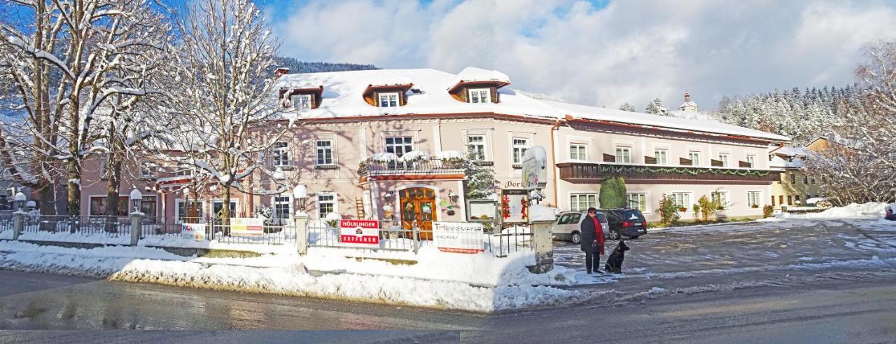 Gasthof Zum Niederhaus - Familie Perthold Sankt Aegyd am Neuwalde エクステリア 写真
