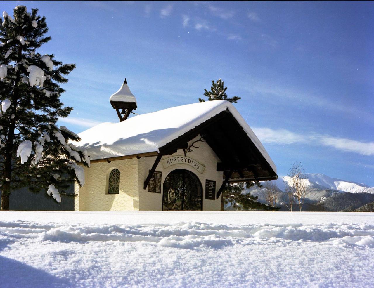 Gasthof Zum Niederhaus - Familie Perthold Sankt Aegyd am Neuwalde エクステリア 写真