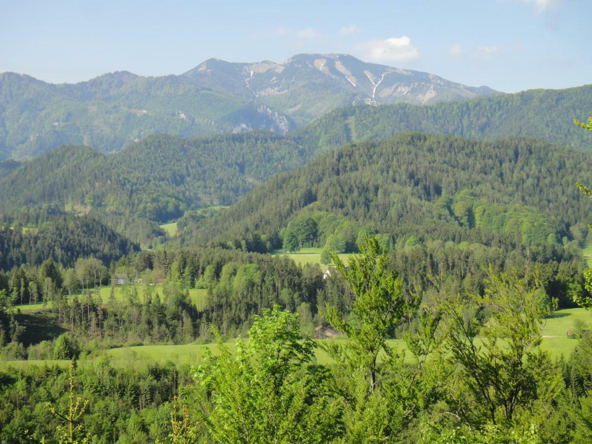 Gasthof Zum Niederhaus - Familie Perthold Sankt Aegyd am Neuwalde エクステリア 写真